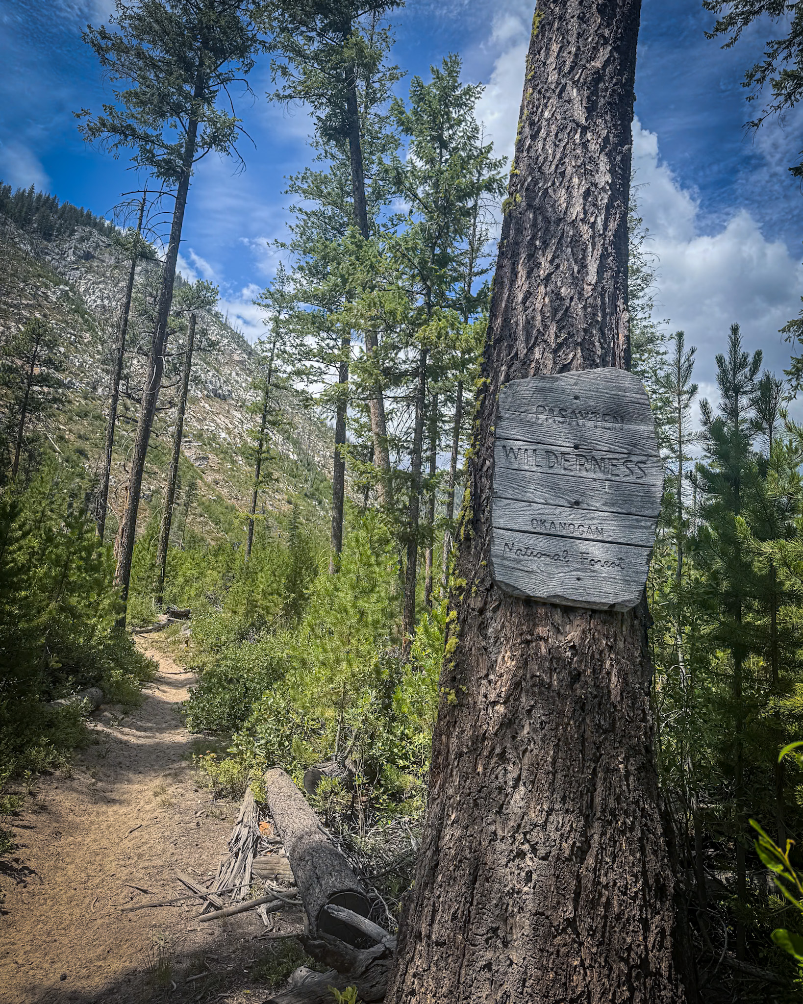 A picture of a USFS Pasayten Wilderness Sign along a mountain trail.